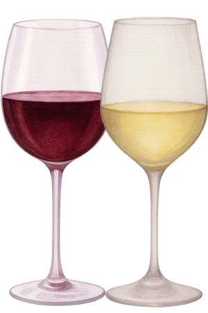 Taça e temperatura ideais para cada vinho